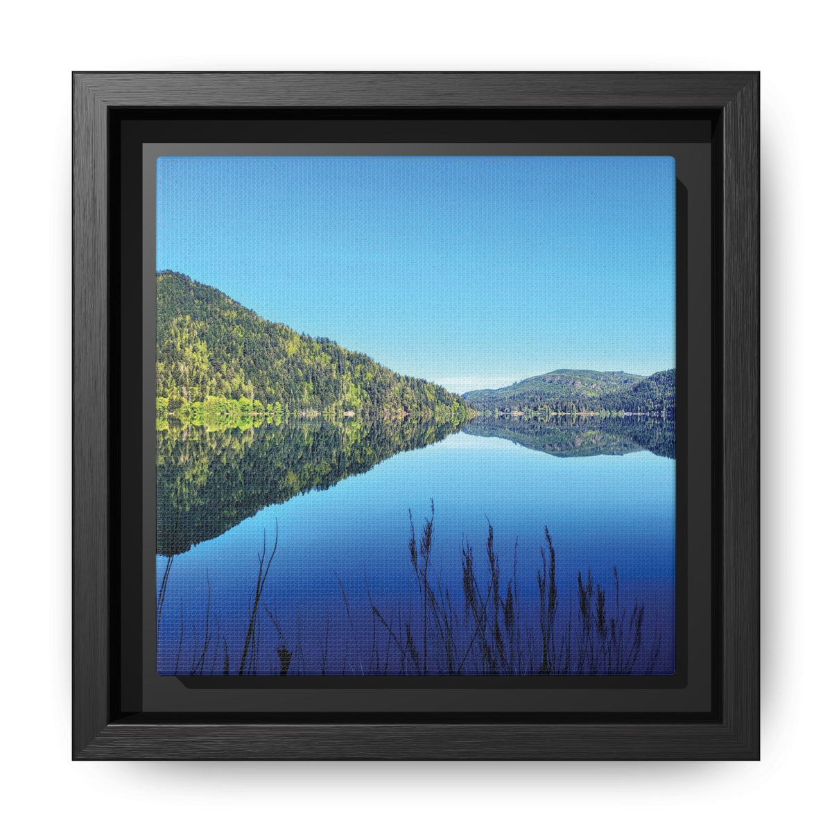 Lake Crescent Reflections | Framed Matte Canvas