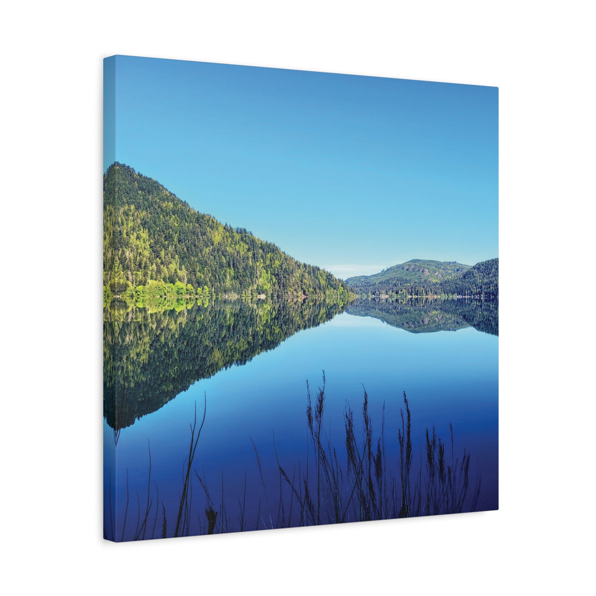 Lake Crescent Reflections | Olympic Peninsula Canvas Print