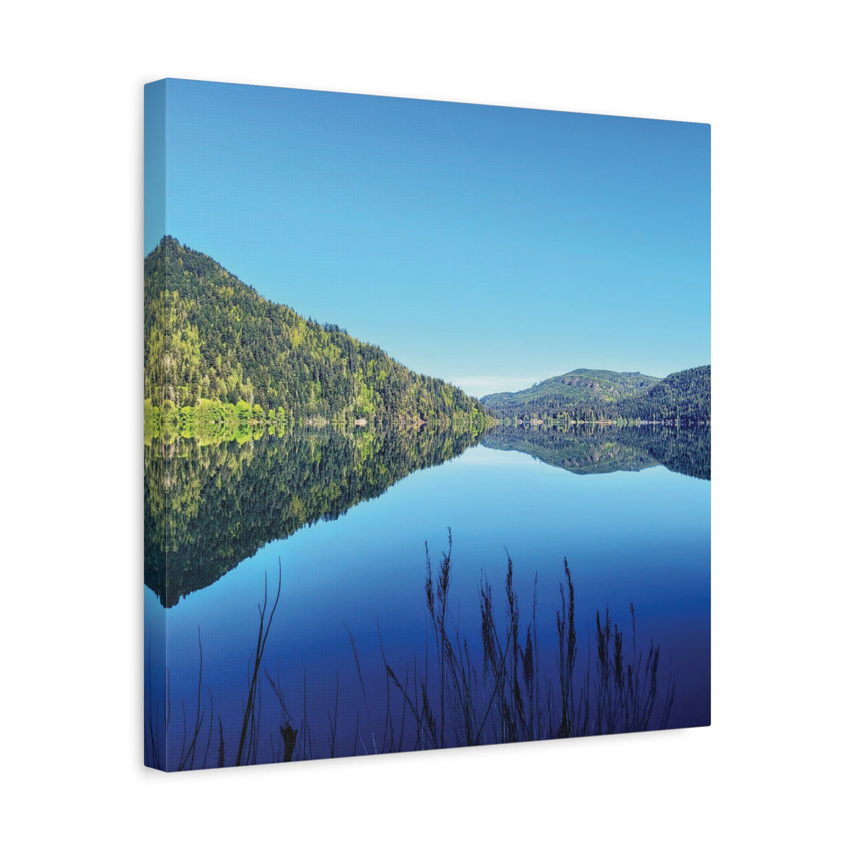 Lake Crescent Reflections | Olympic Peninsula Canvas Print