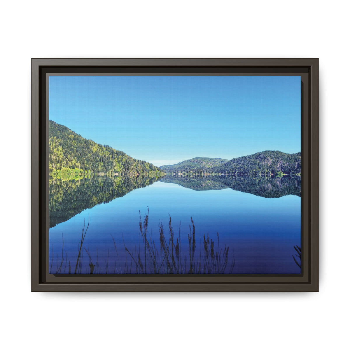 Lake Crescent Reflections | Framed Matte Canvas