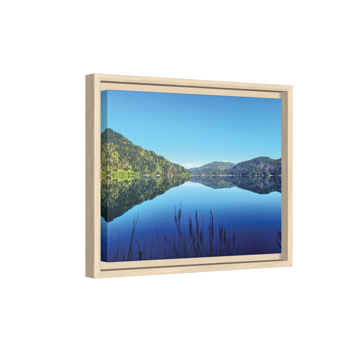 Lake Crescent Reflections | Framed Matte Canvas