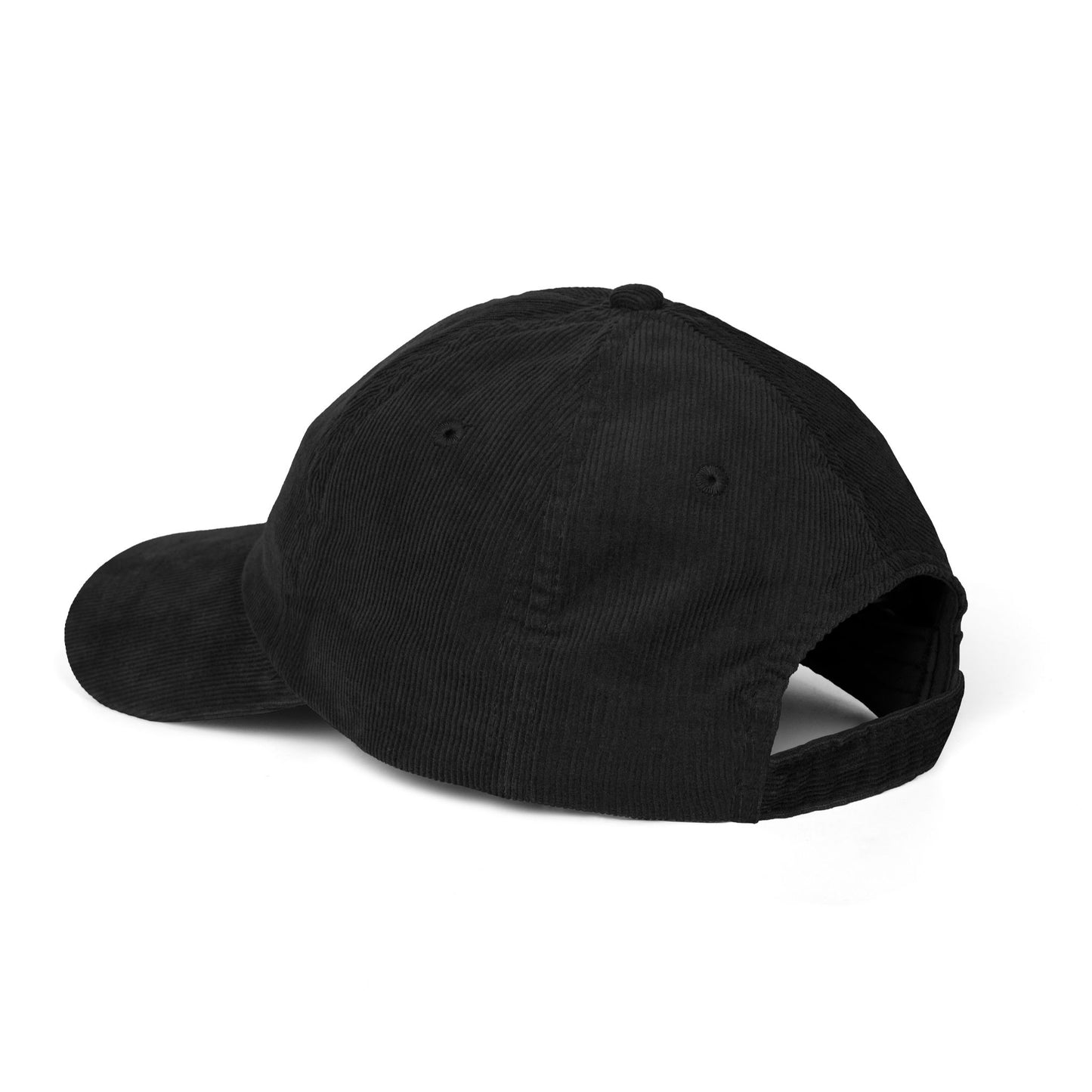 Take the Scenic Route Embroidered Corduroy Cap | Adventure Travel Hat