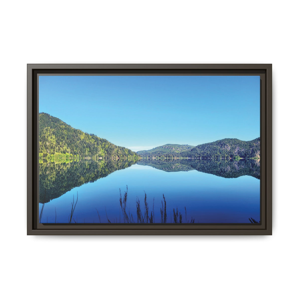 Lake Crescent Reflections | Framed Matte Canvas