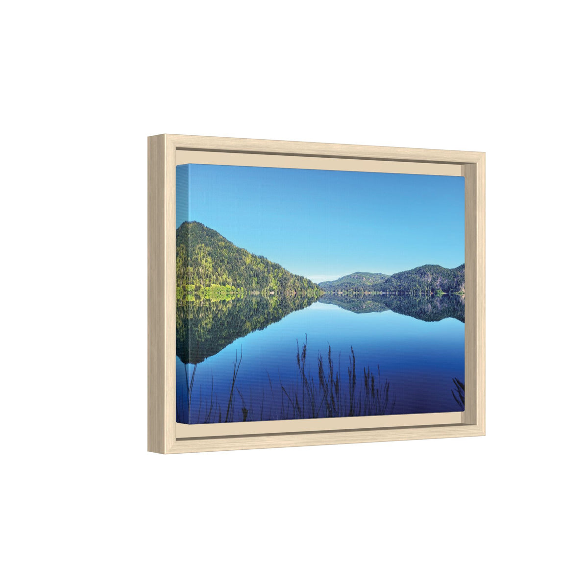 Lake Crescent Reflections | Framed Matte Canvas
