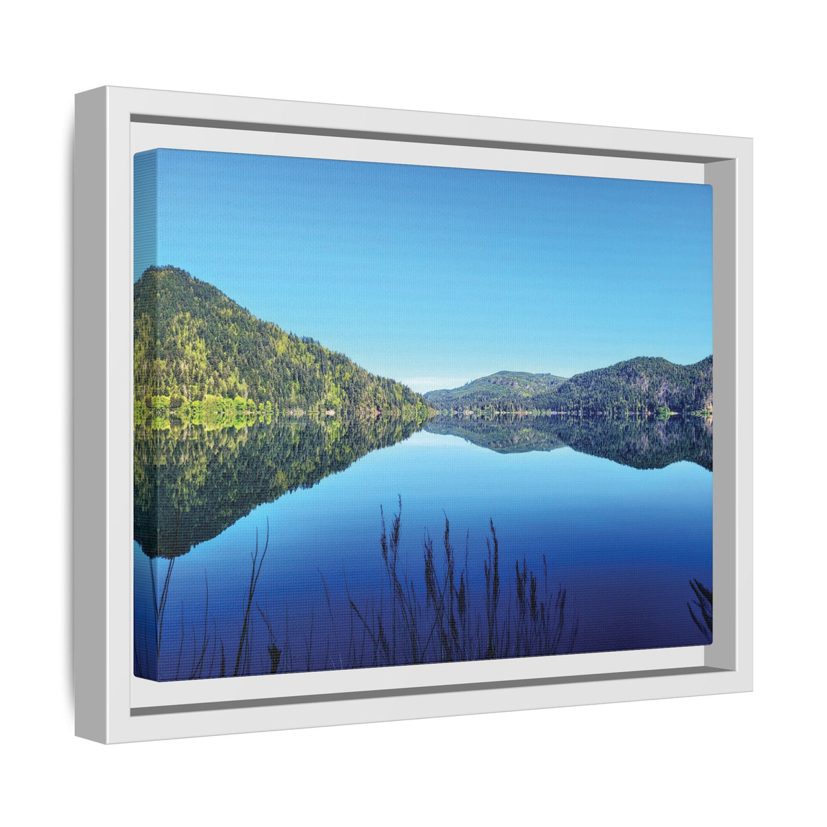 Lake Crescent Reflections | Framed Matte Canvas