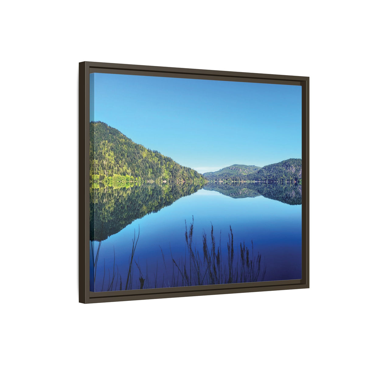 Lake Crescent Reflections | Framed Matte Canvas