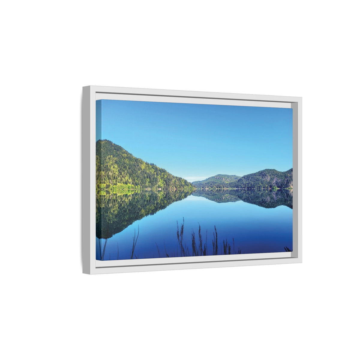 Lake Crescent Reflections | Framed Matte Canvas