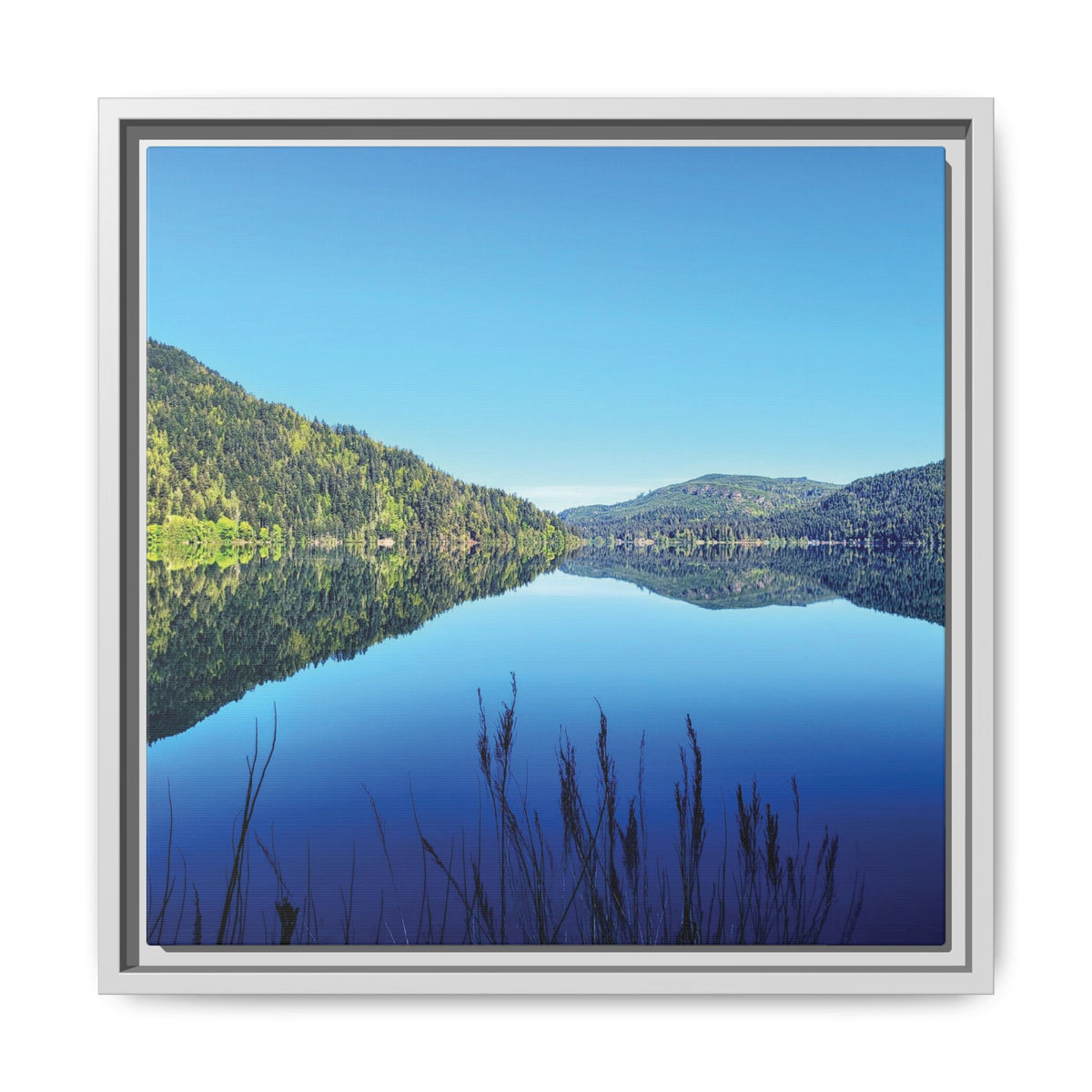 Lake Crescent Reflections | Framed Matte Canvas
