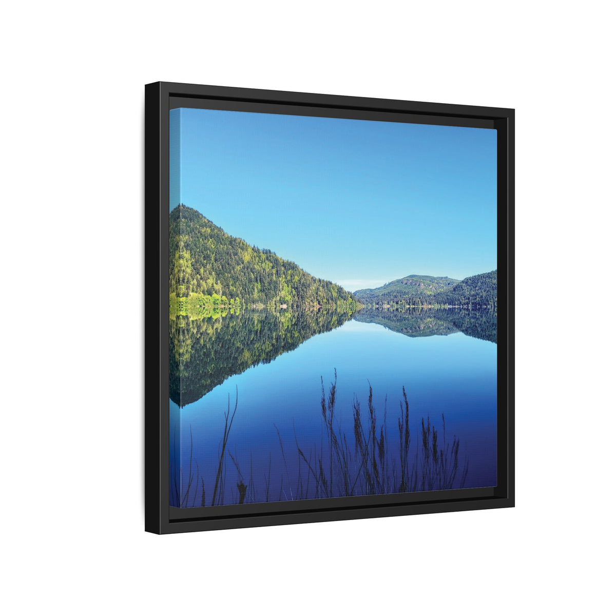 Lake Crescent Reflections | Framed Matte Canvas