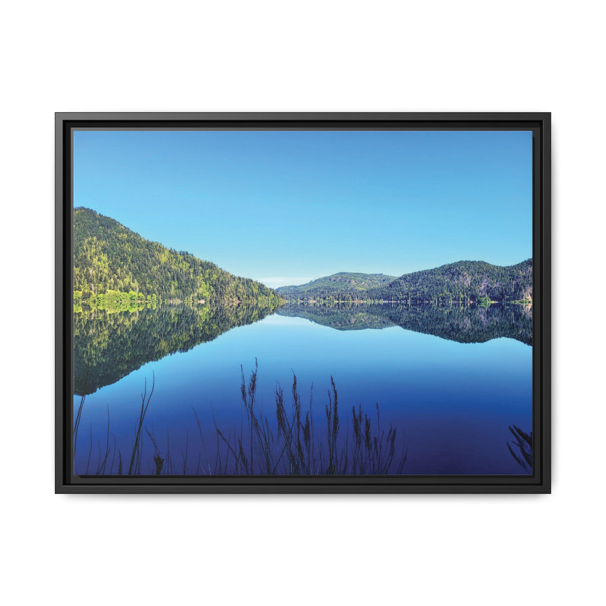 Lake Crescent Reflections | Framed Matte Canvas
