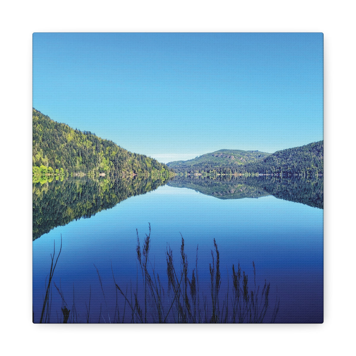Lake Crescent Reflections | Olympic Peninsula Canvas Print