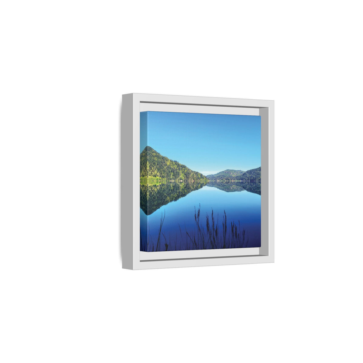 Lake Crescent Reflections | Framed Matte Canvas
