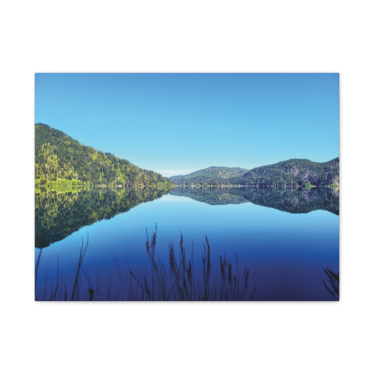 Lake Crescent Reflections | Olympic Peninsula Canvas Print