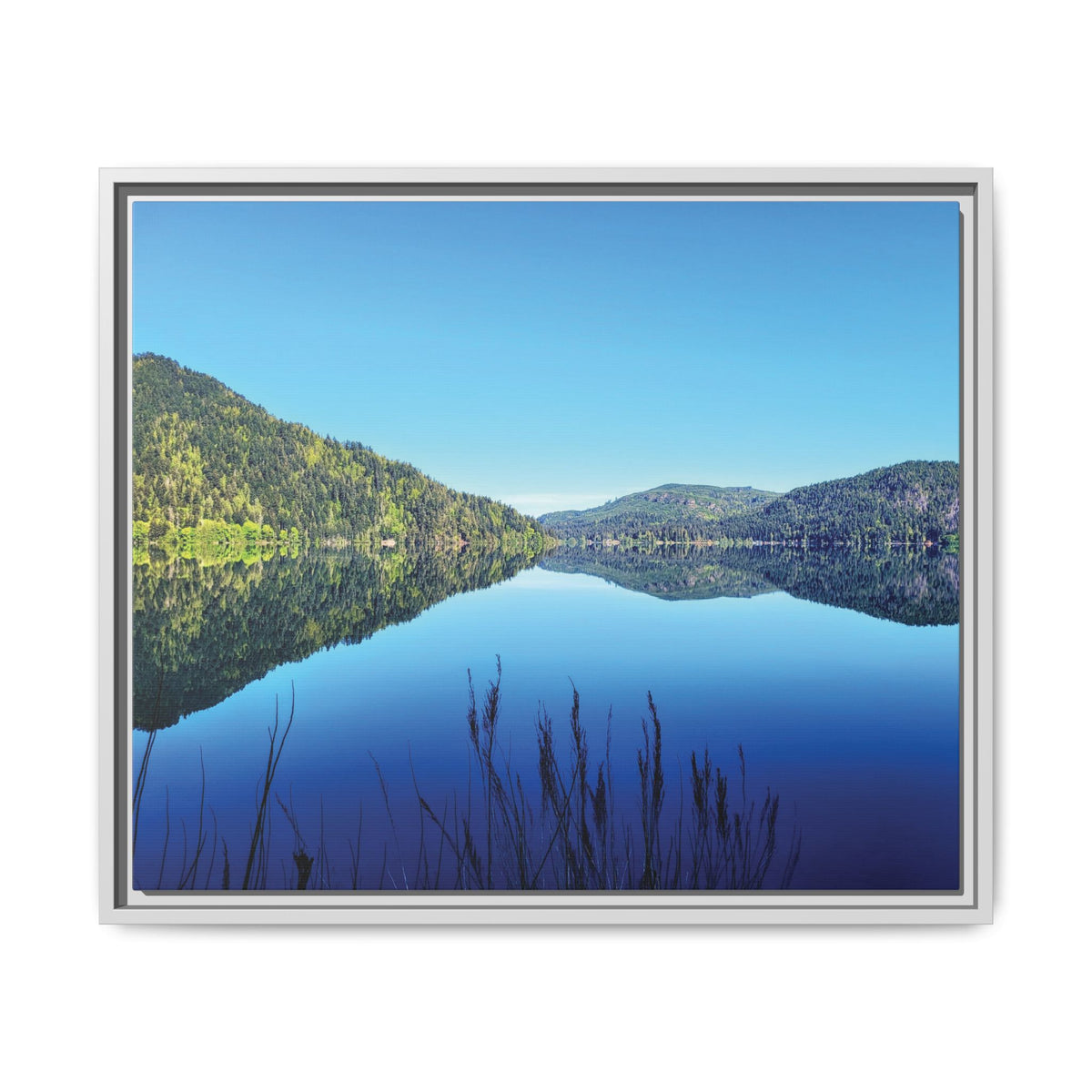Lake Crescent Reflections | Framed Matte Canvas