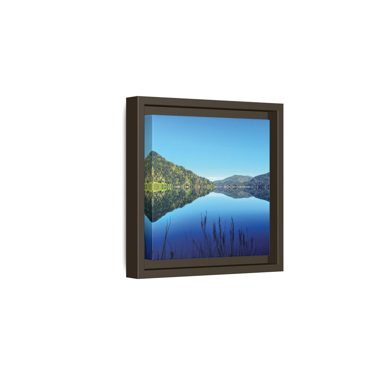 Lake Crescent Reflections | Framed Matte Canvas