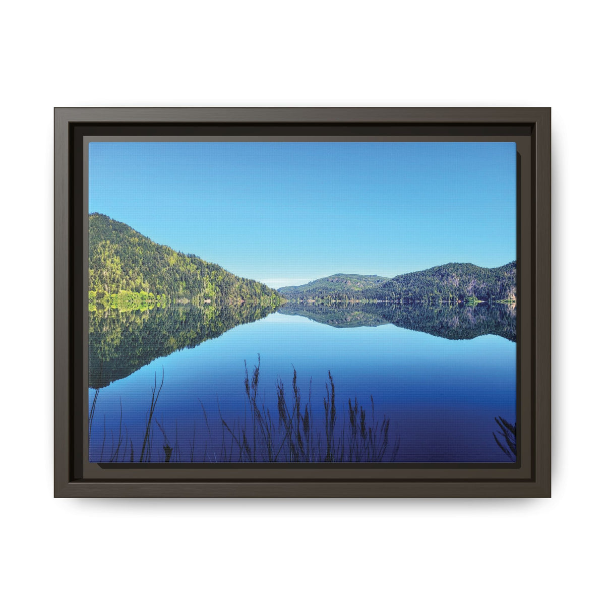 Lake Crescent Reflections | Framed Matte Canvas