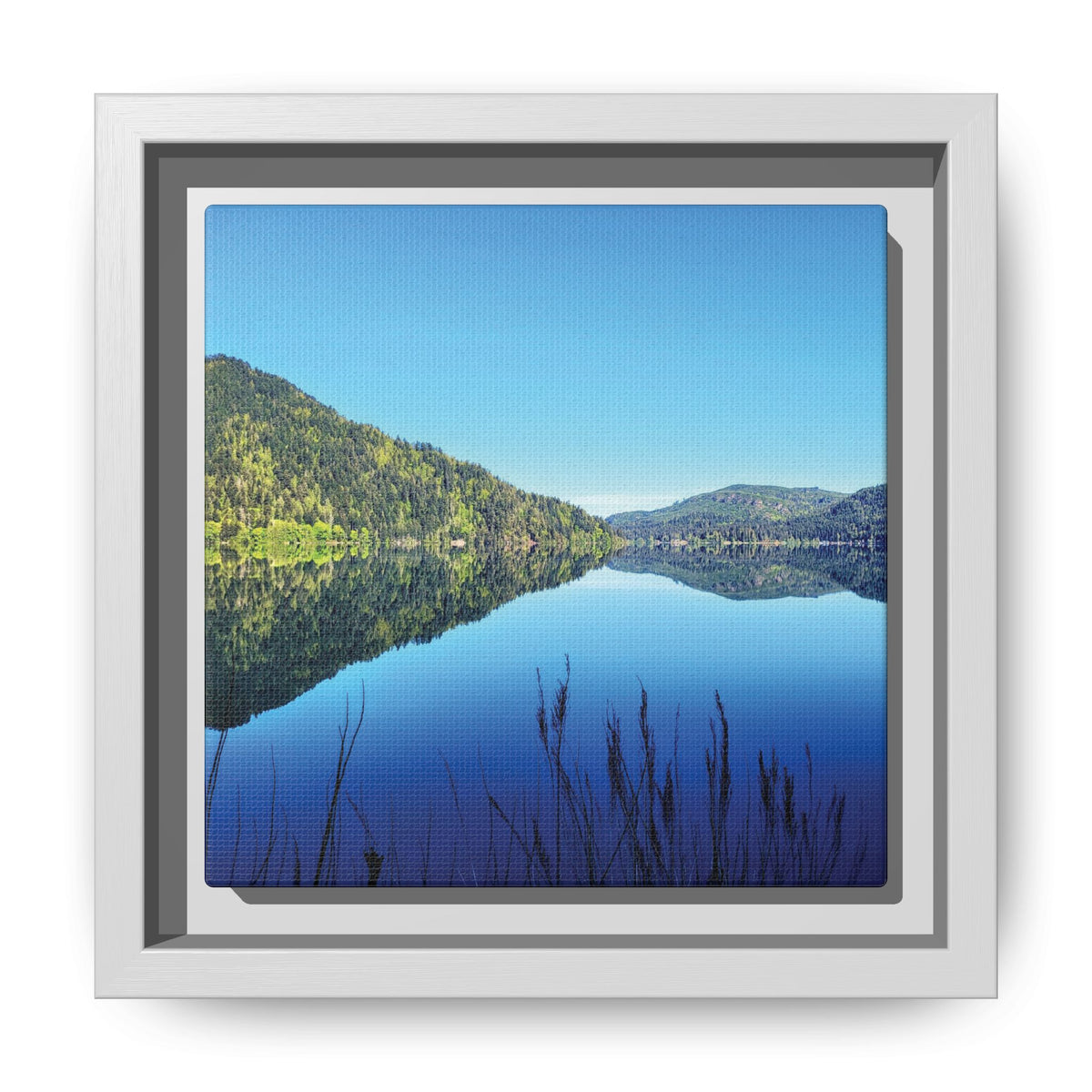 Lake Crescent Reflections | Framed Matte Canvas