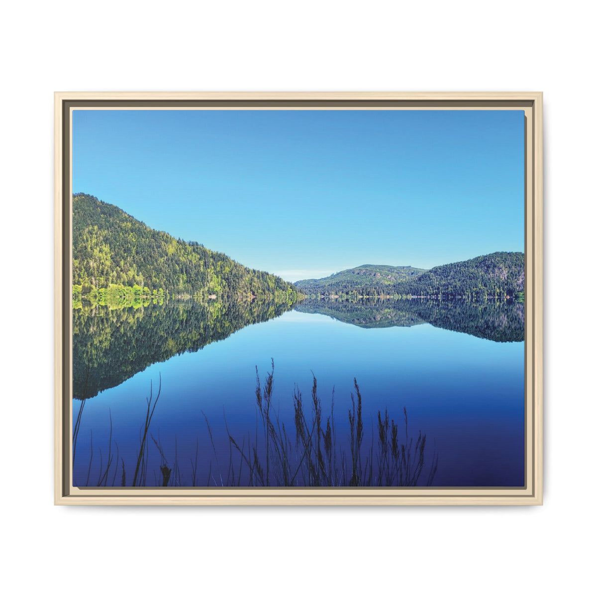 Lake Crescent Reflections | Framed Matte Canvas