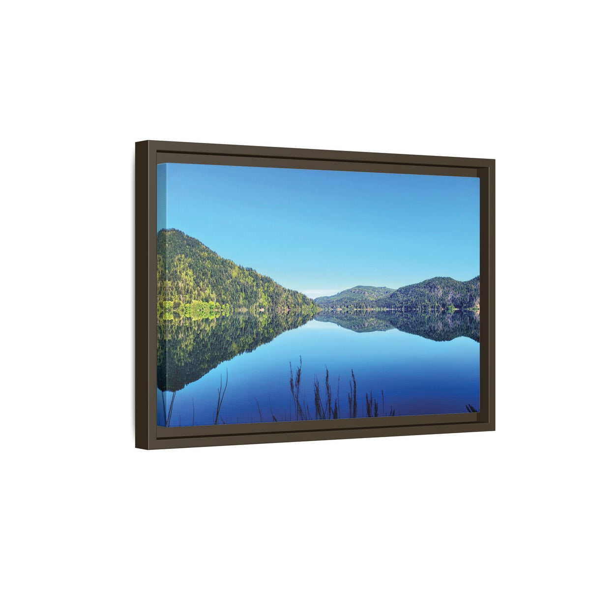 Lake Crescent Reflections | Framed Matte Canvas