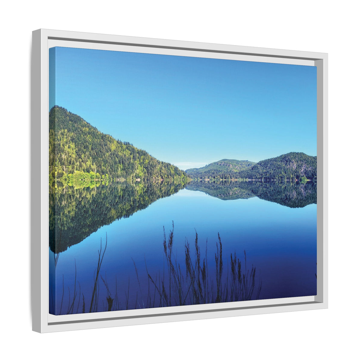 Lake Crescent Reflections | Framed Matte Canvas