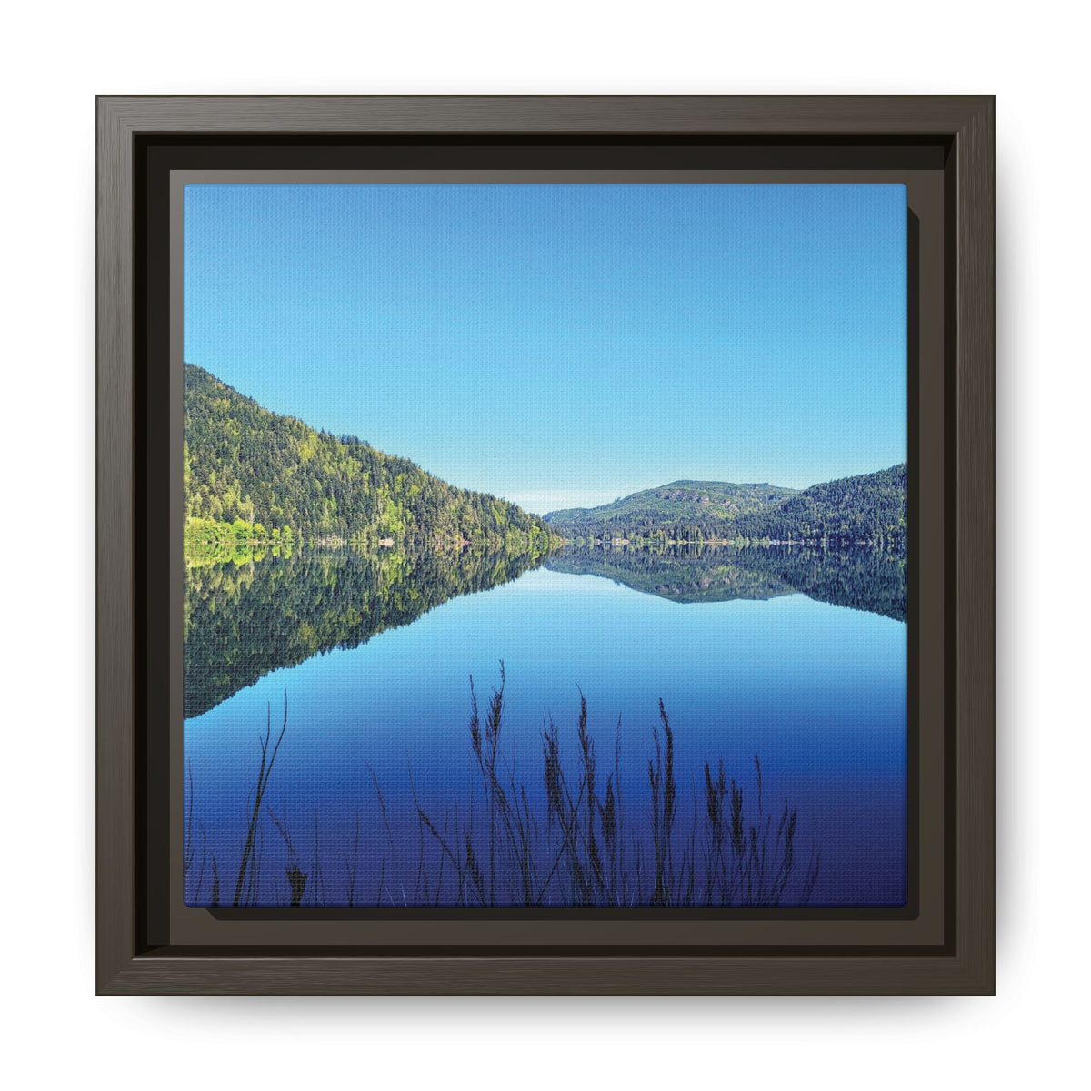 Lake Crescent Reflections | Framed Matte Canvas