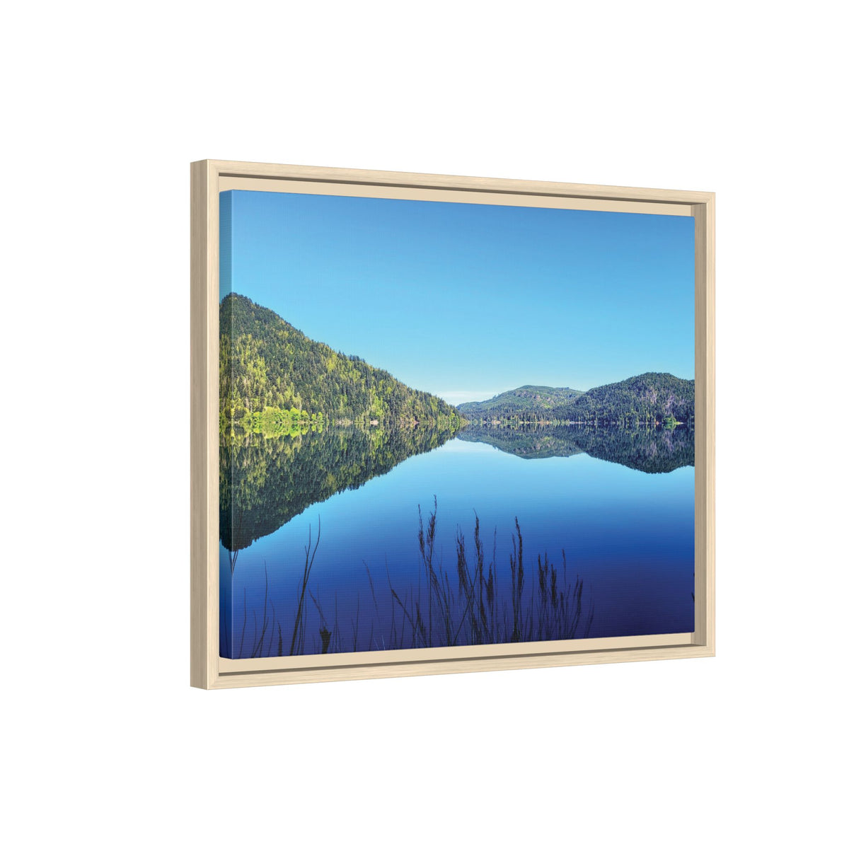Lake Crescent Reflections | Framed Matte Canvas