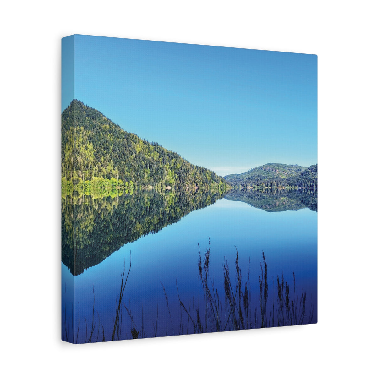 Lake Crescent Reflections | Olympic Peninsula Canvas Print