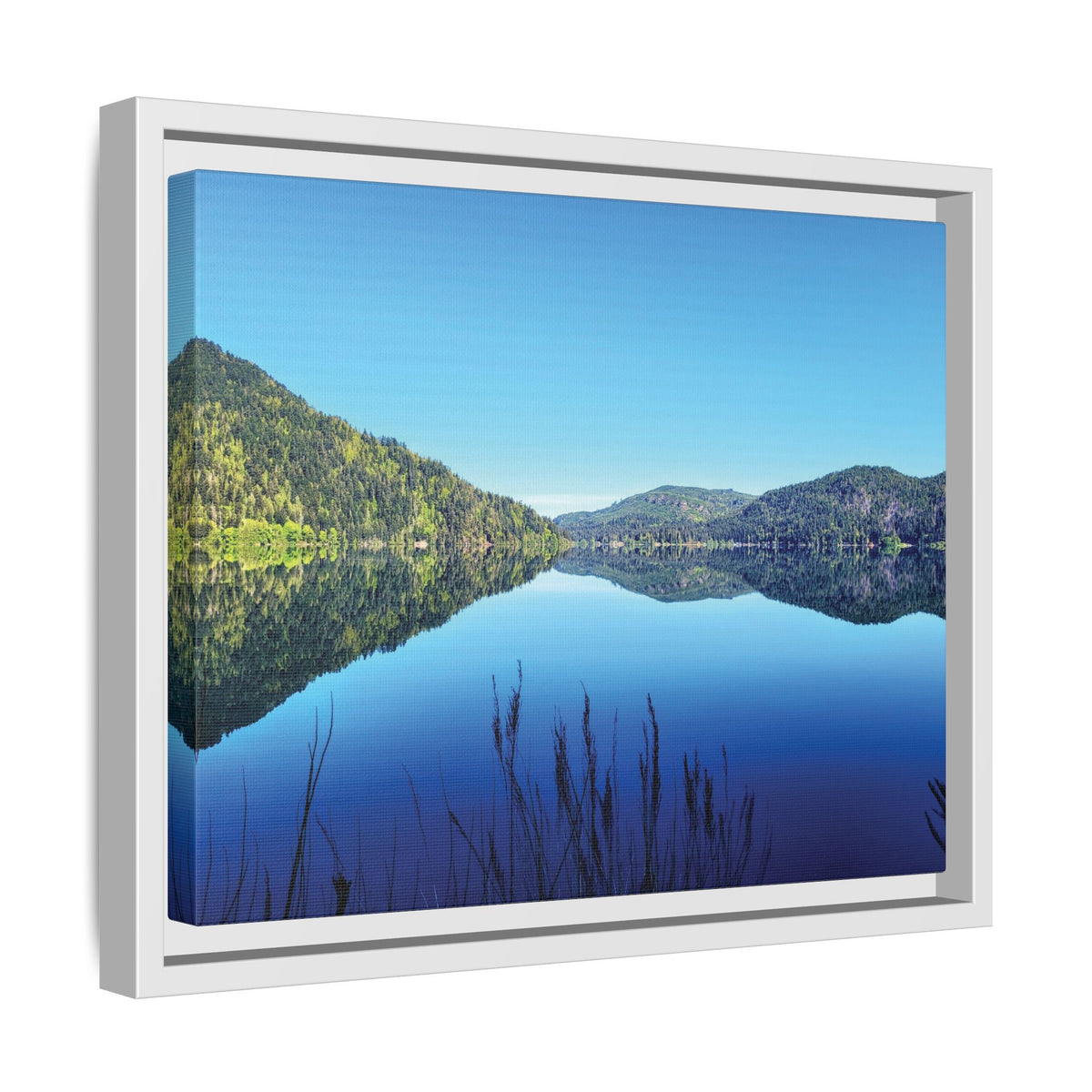 Lake Crescent Reflections | Framed Matte Canvas