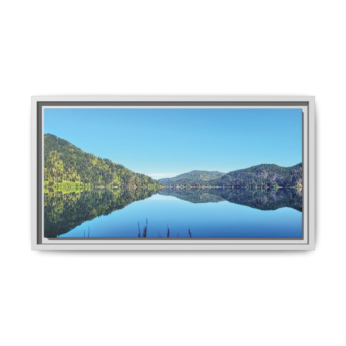 Lake Crescent Reflections | Framed Matte Canvas