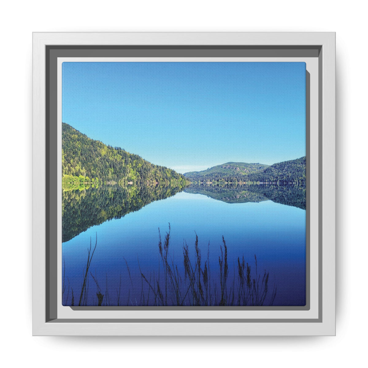 Lake Crescent Reflections | Framed Matte Canvas