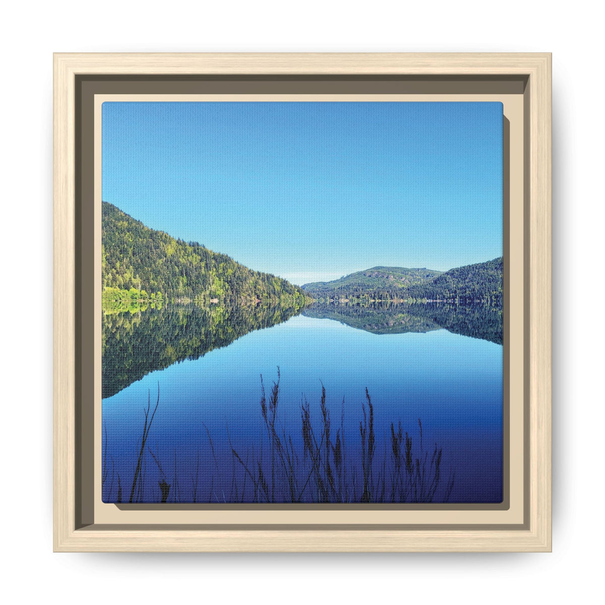 Lake Crescent Reflections | Framed Matte Canvas