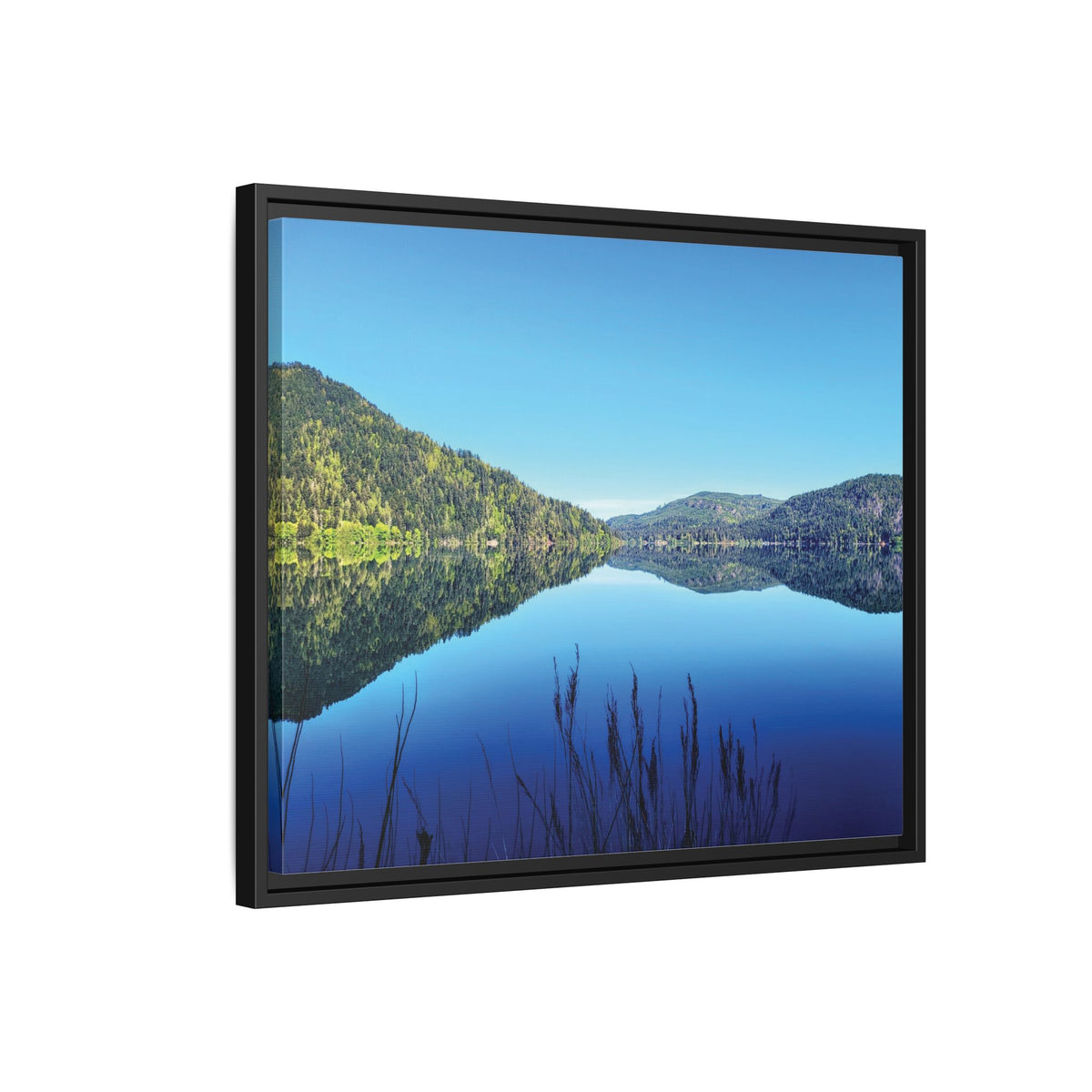 Lake Crescent Reflections | Framed Matte Canvas