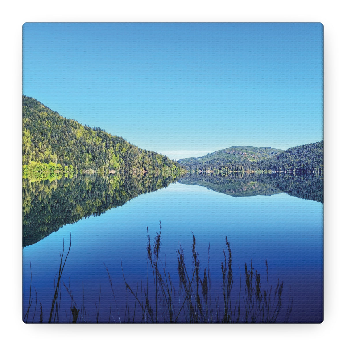 Lake Crescent Reflections | Olympic Peninsula Canvas Print