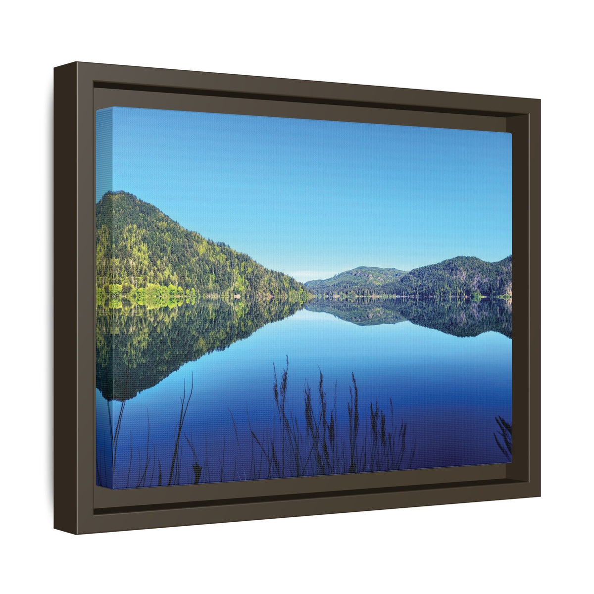 Lake Crescent Reflections | Framed Matte Canvas