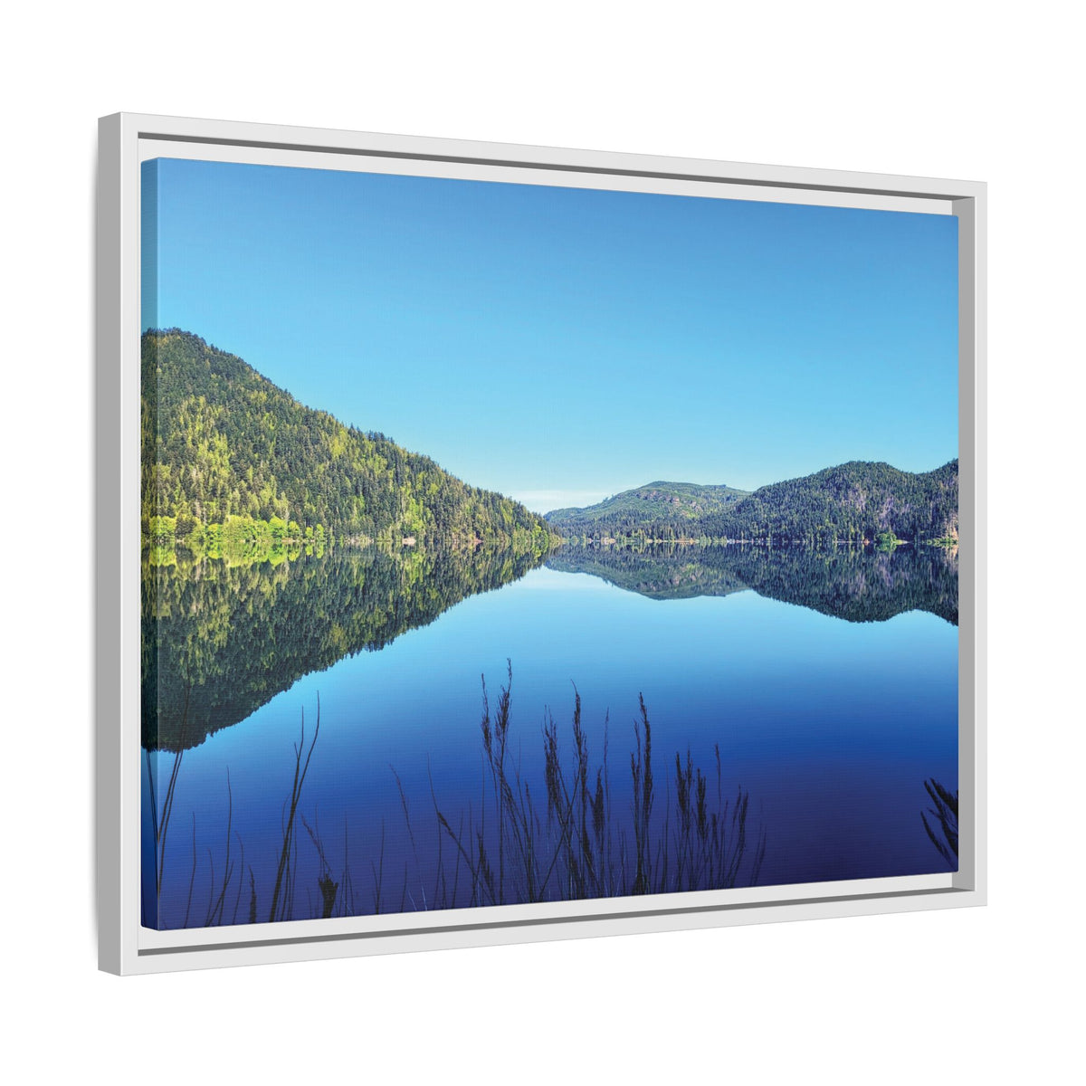 Lake Crescent Reflections | Framed Matte Canvas