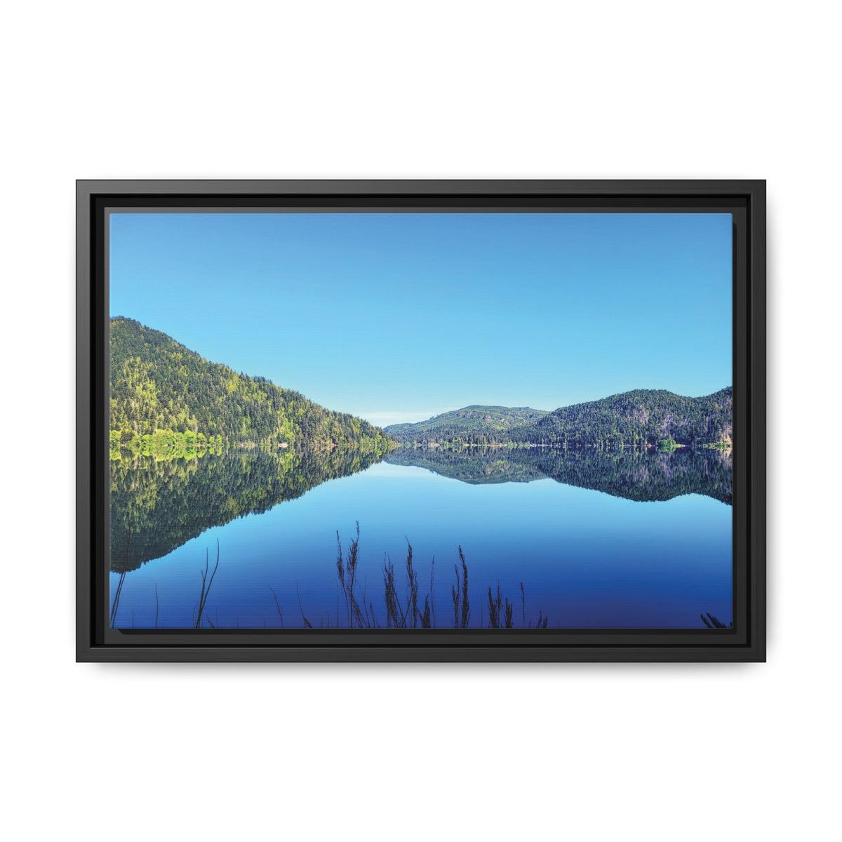 Lake Crescent Reflections | Framed Matte Canvas