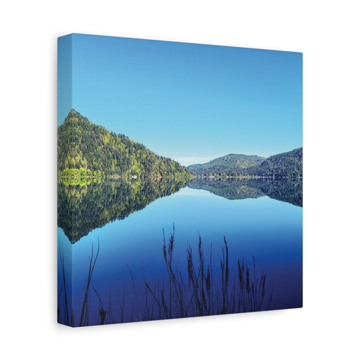 Lake Crescent Reflections | Olympic Peninsula Canvas Print