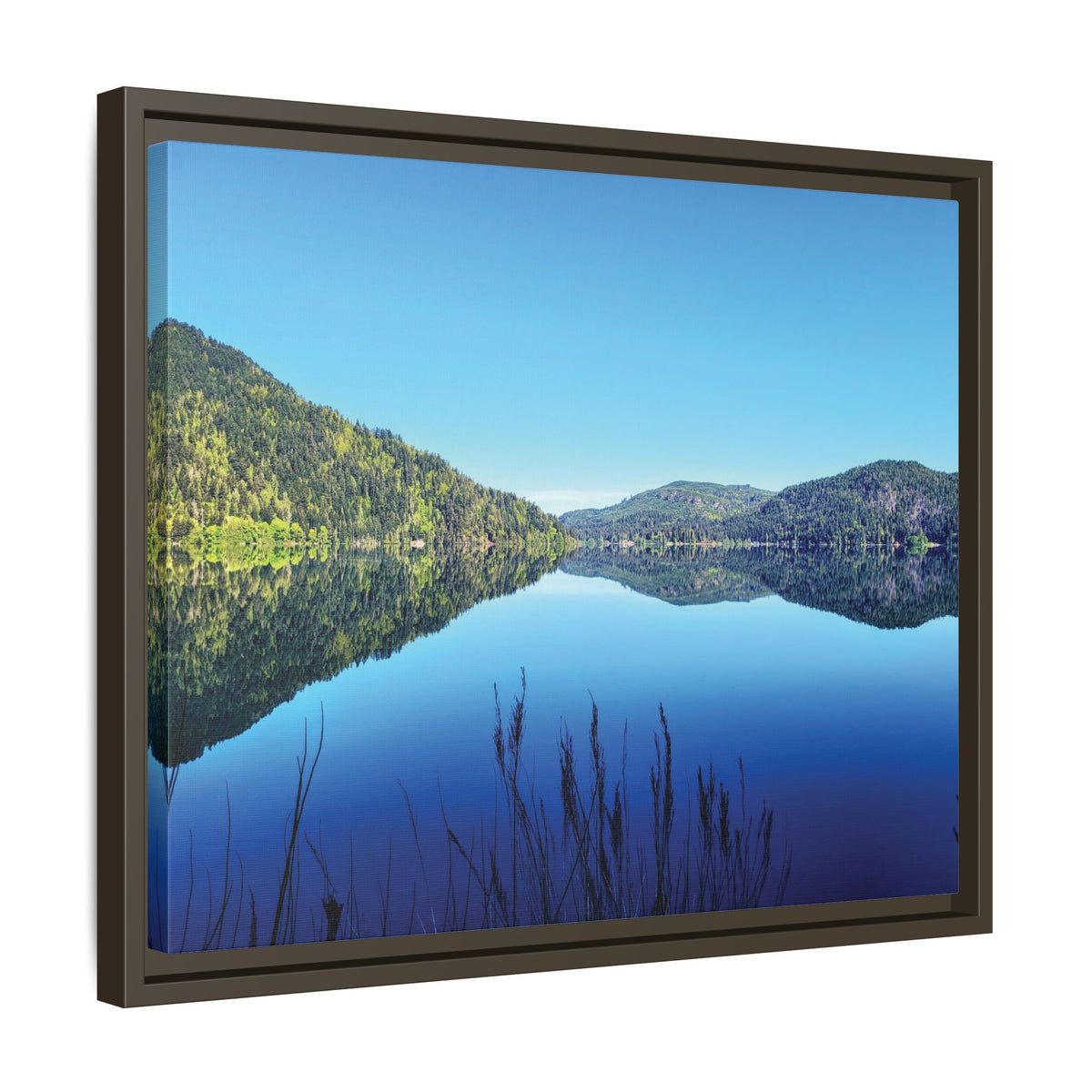 Lake Crescent Reflections | Framed Matte Canvas