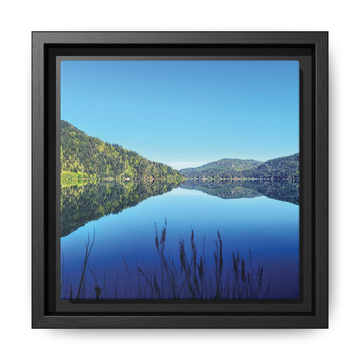 Lake Crescent Reflections | Framed Matte Canvas