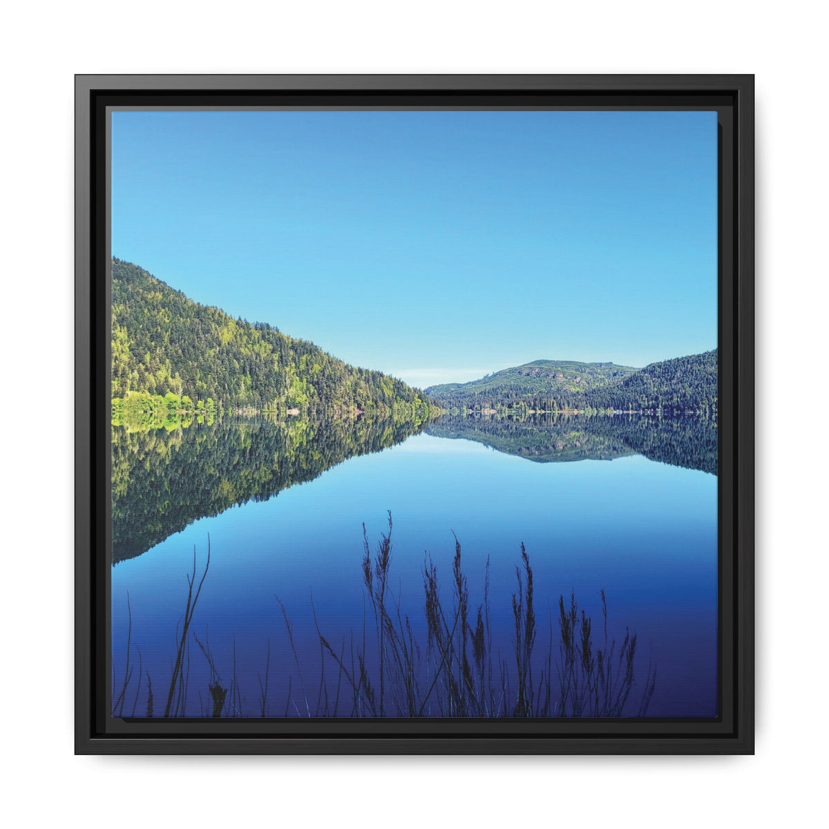 Lake Crescent Reflections | Framed Matte Canvas