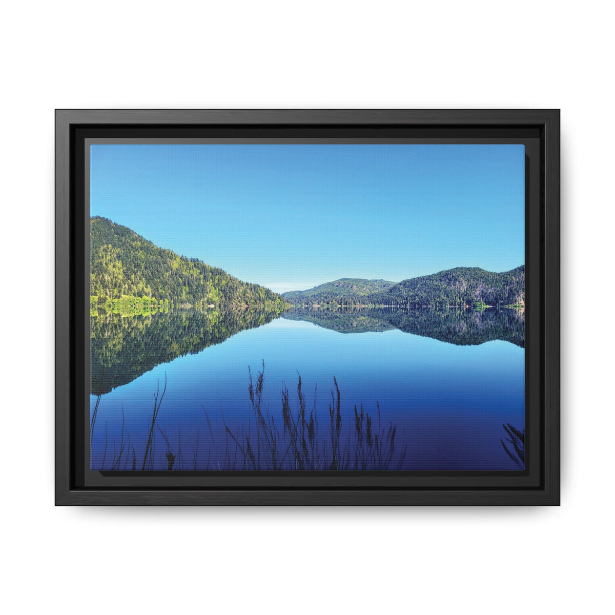 Lake Crescent Reflections | Framed Matte Canvas