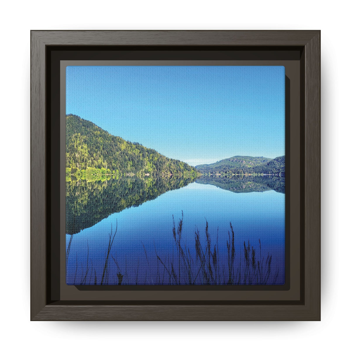 Lake Crescent Reflections | Framed Matte Canvas