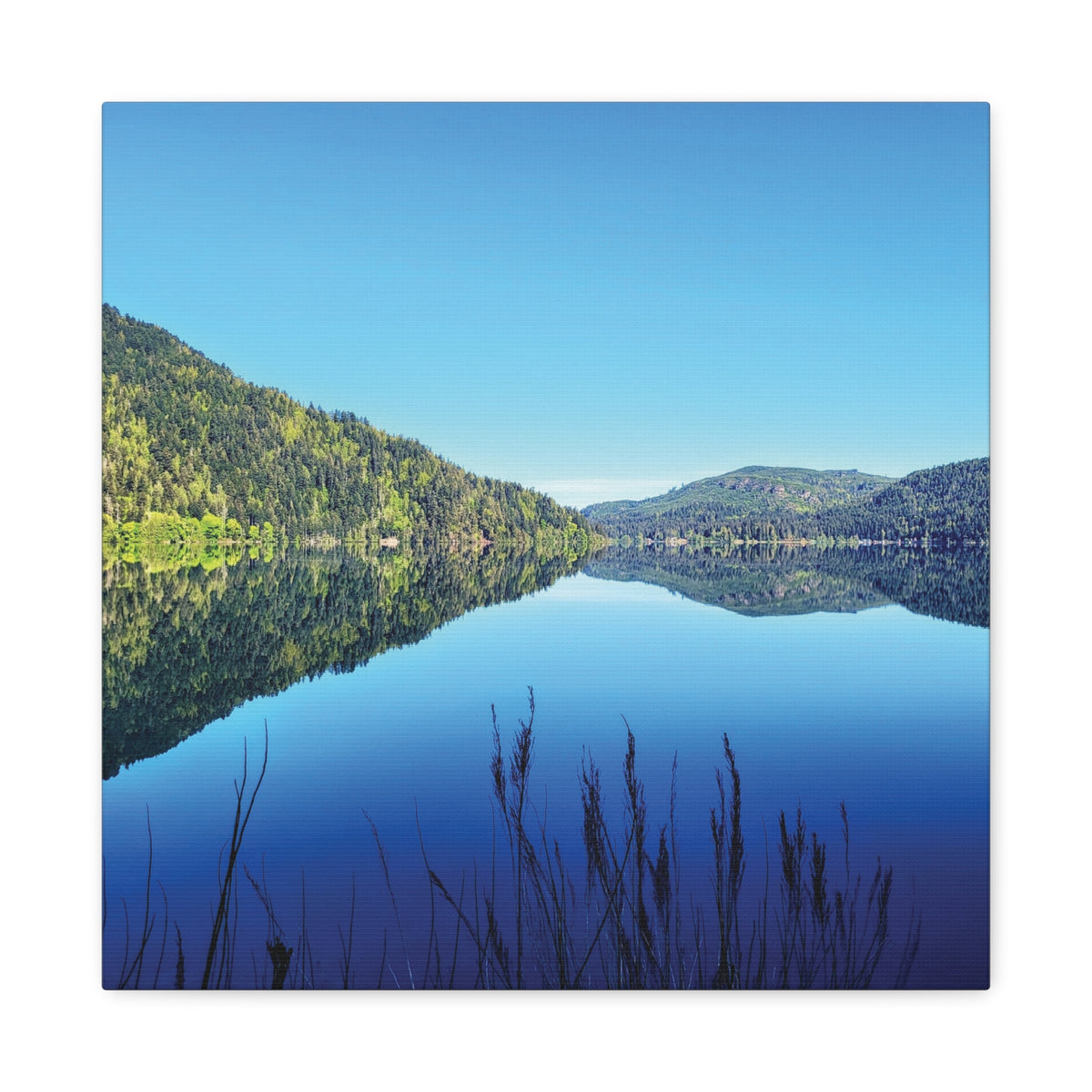 Lake Crescent Reflections | Olympic Peninsula Canvas Print