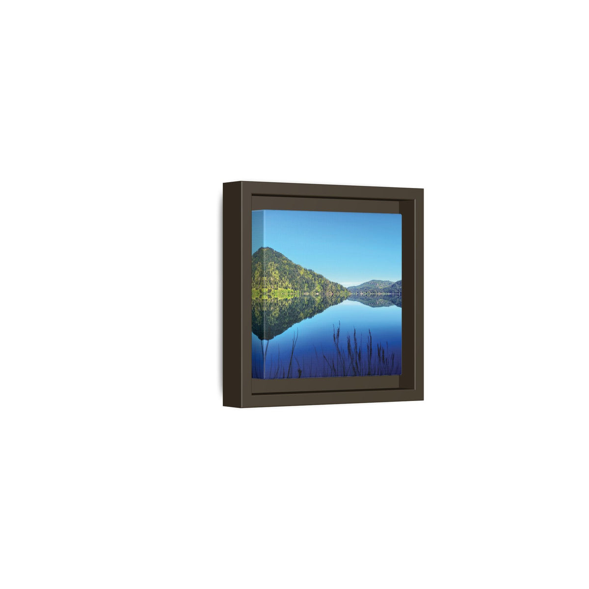 Lake Crescent Reflections | Framed Matte Canvas