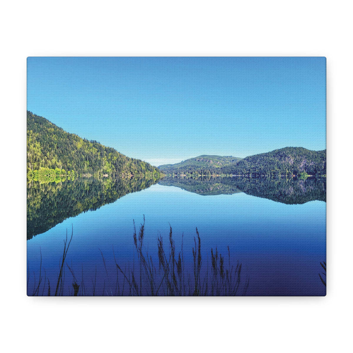 Lake Crescent Reflections | Olympic Peninsula Canvas Print