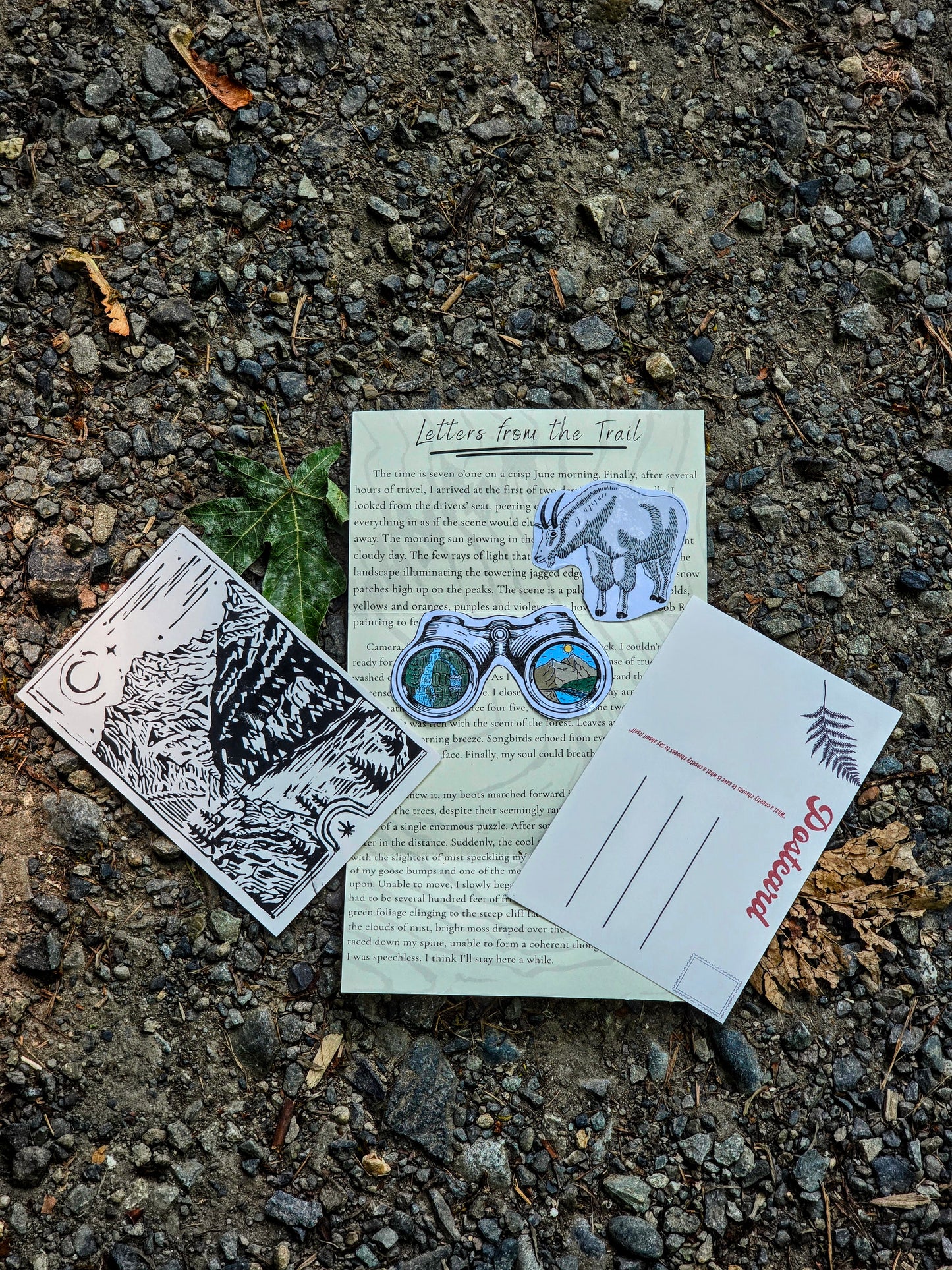 A set of printed cards and a postcard laid out on a gravel surface. The set includes a black-and-white illustration card, a central card titled "Letters from the Trail" with a bear and binocular illustration, and a white postcard with red text and a fern illustration.