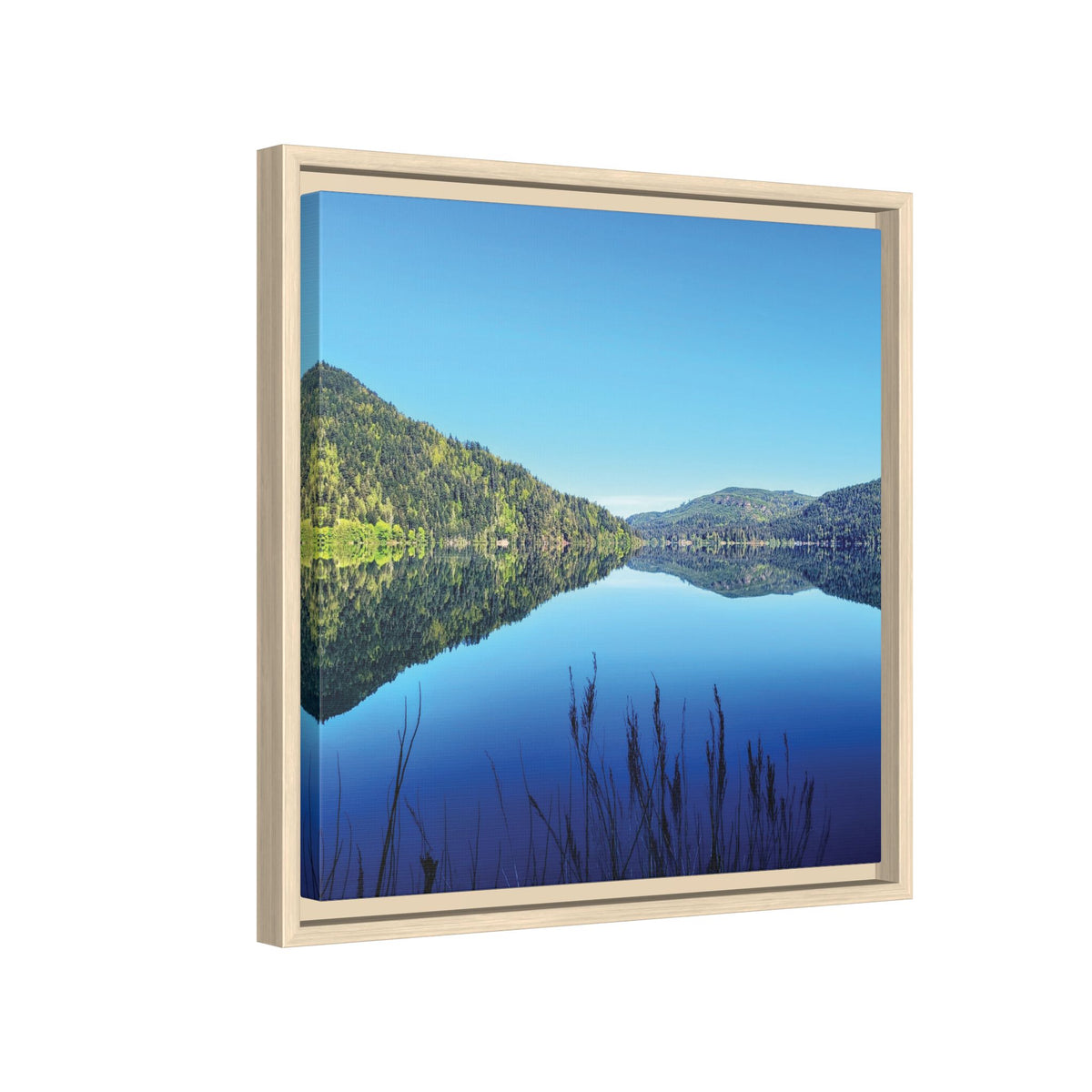 Lake Crescent Reflections | Framed Matte Canvas