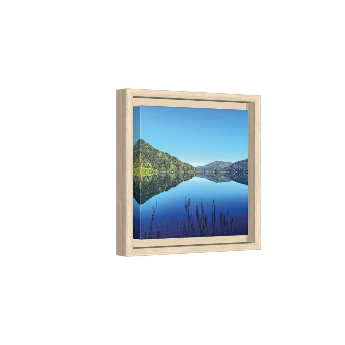 Lake Crescent Reflections | Framed Matte Canvas