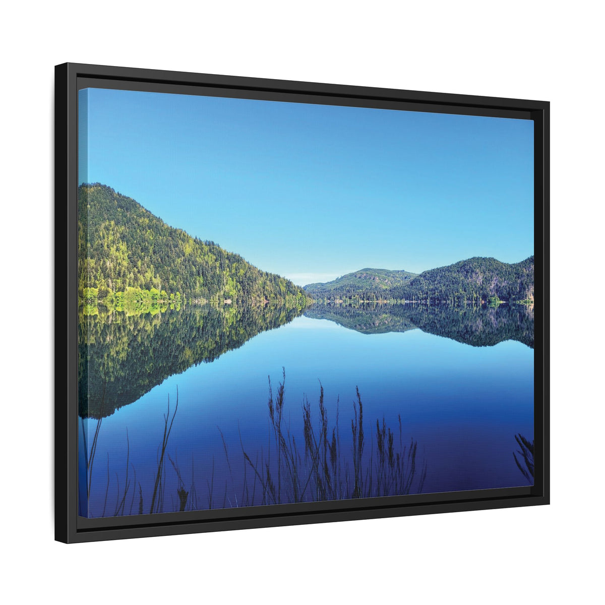 Lake Crescent Reflections | Framed Matte Canvas