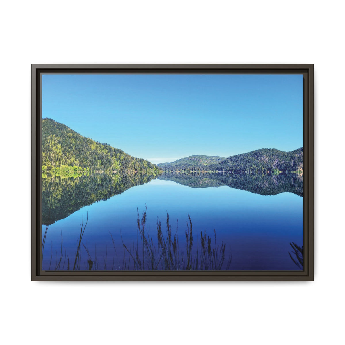 Lake Crescent Reflections | Framed Matte Canvas